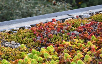the cost of Market Drayton green roof installation