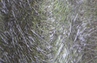 Market Drayton fibreglass roof work